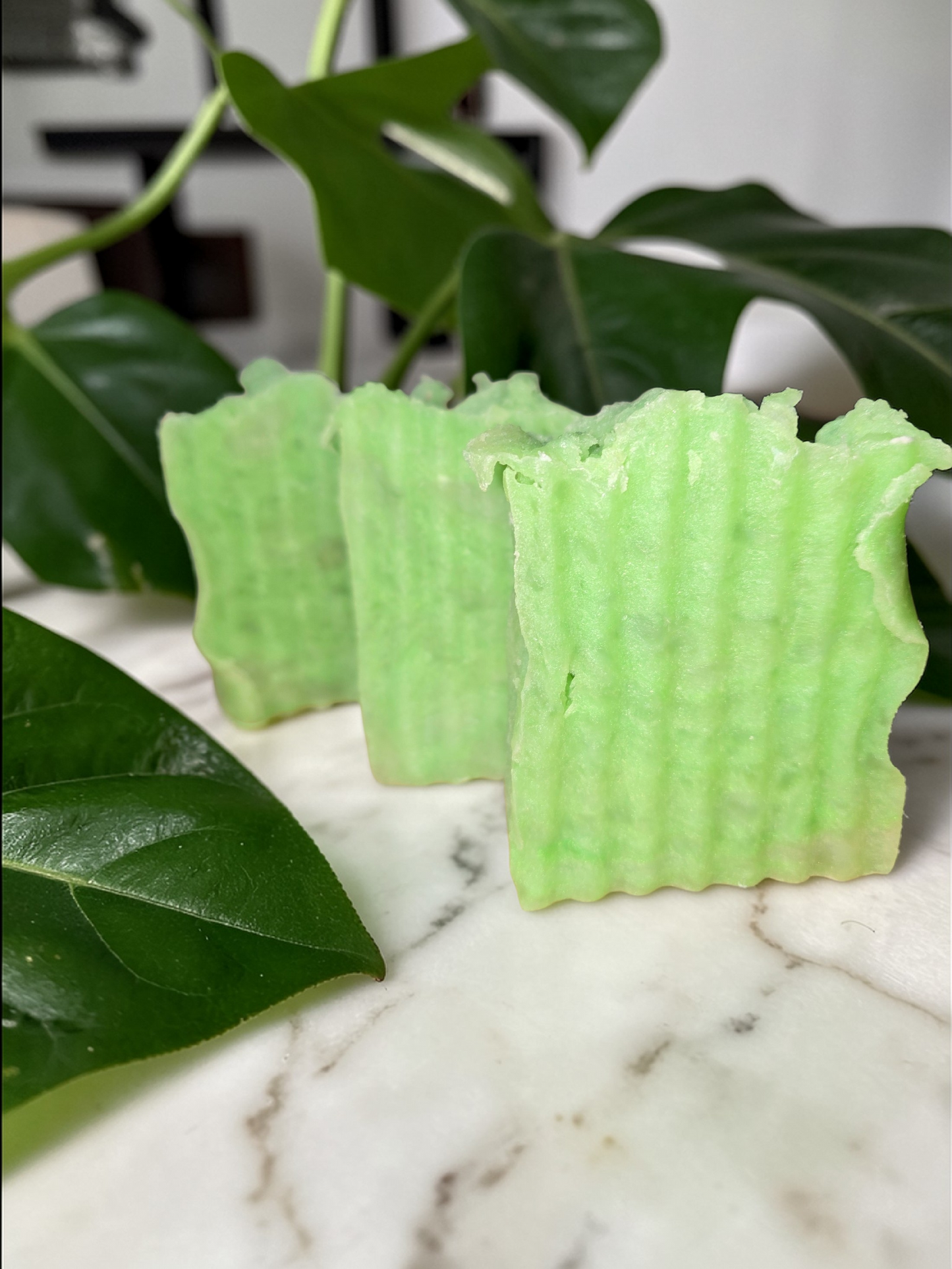 Green Tea Tree